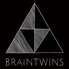 Brain Twins